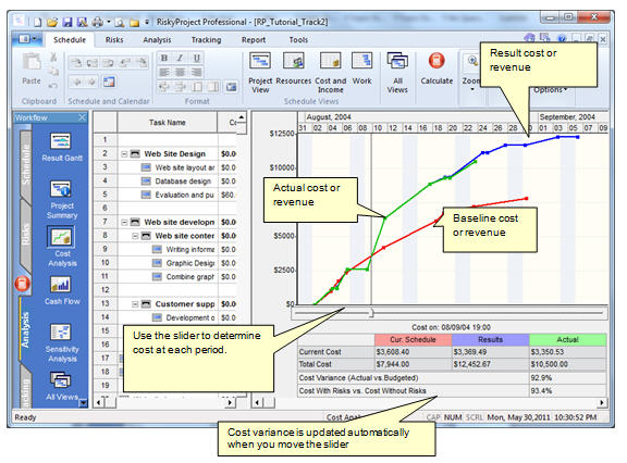 Risk Analysis: Analyzing cost and revenue