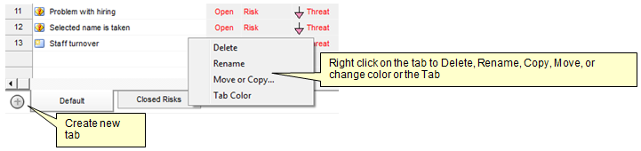 Use tabs to create multiple views of Risk Register