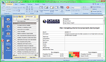 Qualitative Risk Analysis: Risk Report
