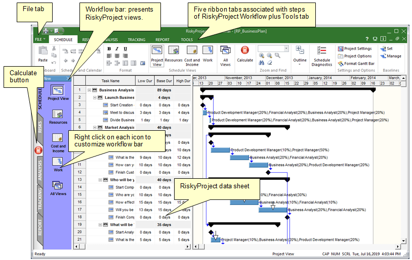 Project risk analysis software